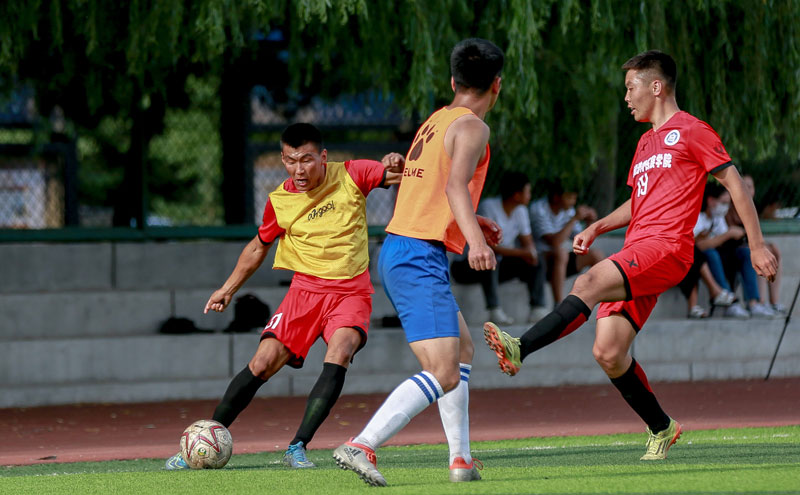 阿尔托贝利：意大利足球体系有问题，不敢想象再次无缘世界杯（阿尔托贝利：意大利足球体制存弊，无法想象再度缺席世界杯）